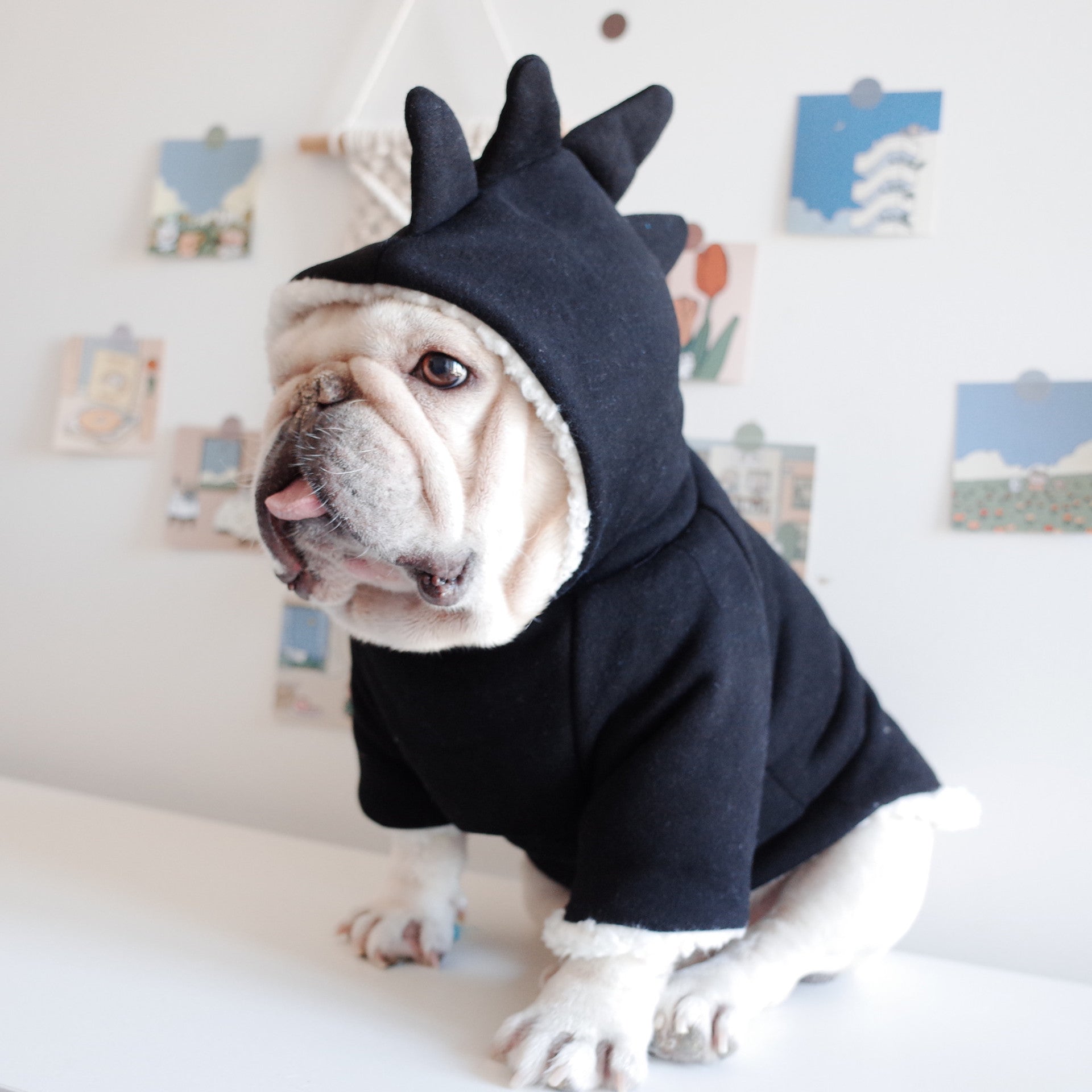 Lamb Fleece Winter Warm Dinosaur Hooded Sweater