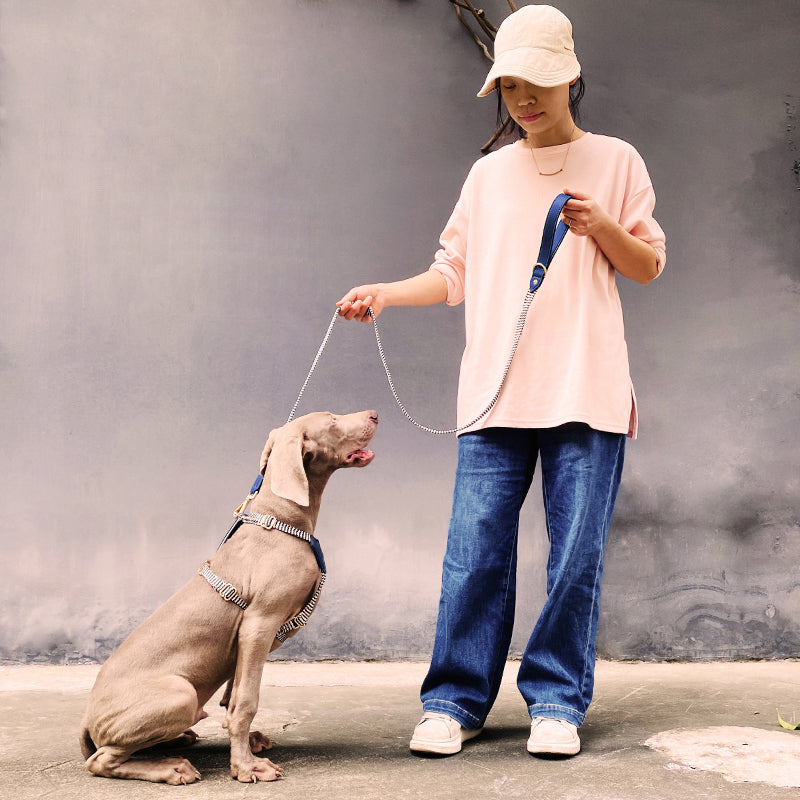Pet Vest-style Hand Holding Rope