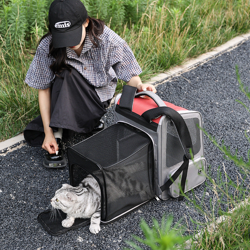 Portable Pet Expandable Large Capacity Carrier
