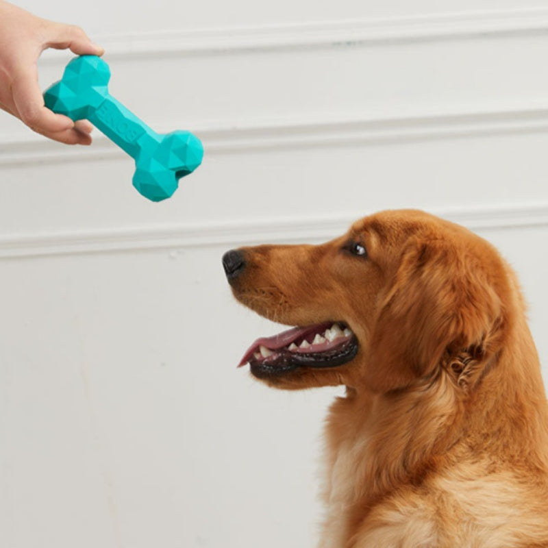 Pet Dog Teeth Grinding Bone Toy