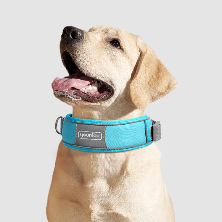 Cute Dog Collar Leash Explosion-proof