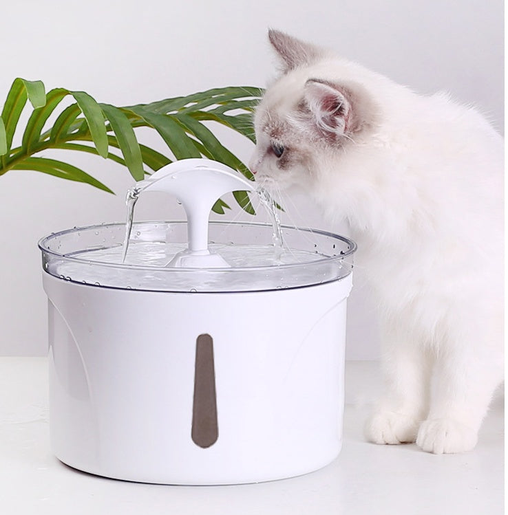 Pet Automatic Circulating Filter Water Dispenser