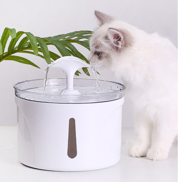 Pet Automatic Circulating Filter Water Dispenser