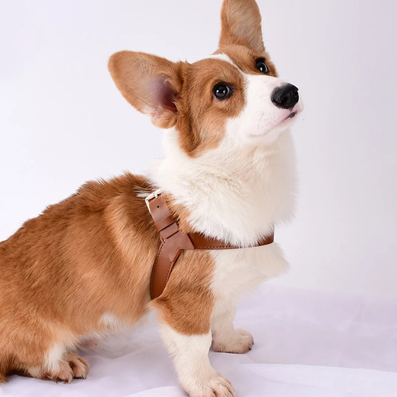 Dog Vest Type Chest Harness Leash