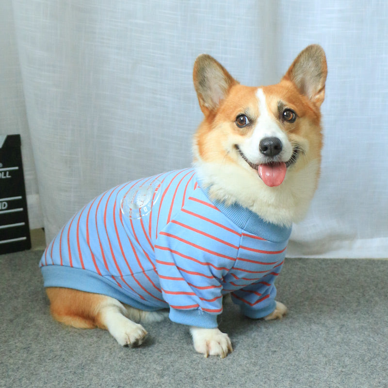 Pet Owner Parent-child Wear Sweater