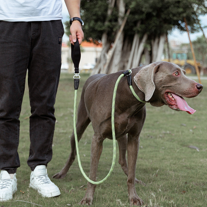 Simple Pet Dog Leash Explosion-proof Punch