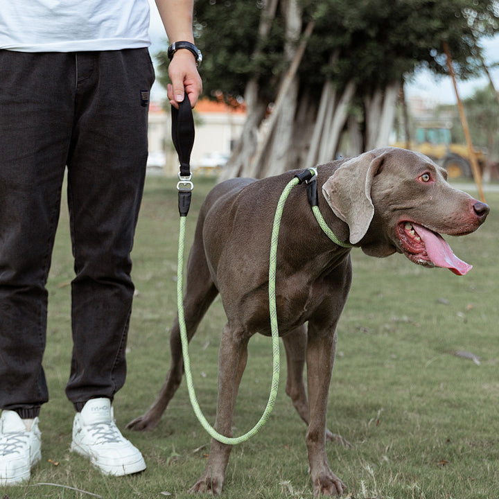 Simple Pet Dog Leash Explosion-proof Punch