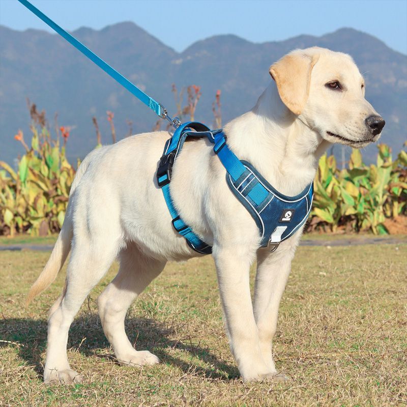 Explosion-proof Chest Strap Large Dog Vest