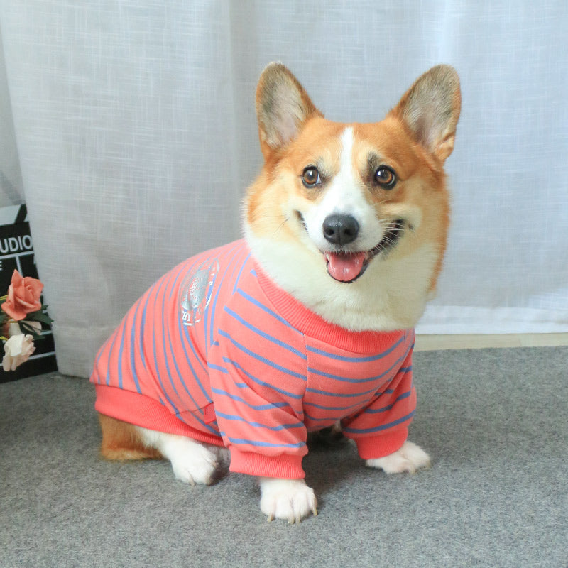 Pet Owner Parent-child Wear Sweater